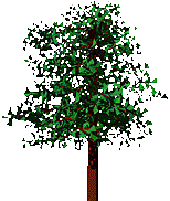 tree201.gif (8669 oCg)