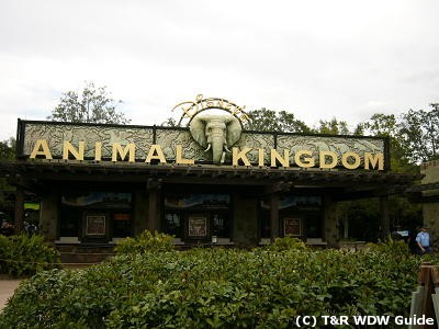 WDW, Walt Disney World, WDW2004,
EHgfBYj[[hsL2004,
Animal Kingdom, Aj}LO_