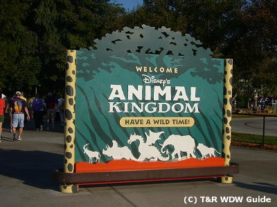 WDW, Walt Disney World, WDW1999,
EHgfBYj[[hsL1998,
Animal Kingdom, Aj}LO_