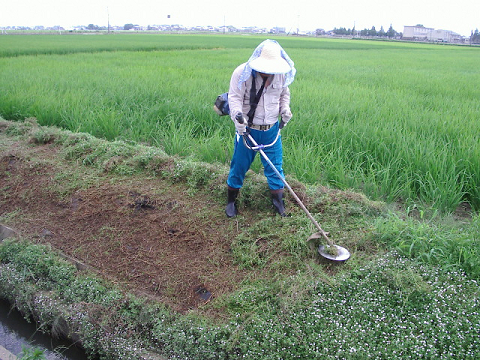 活動