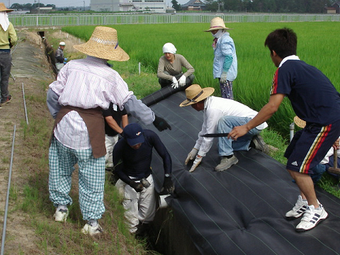 活動