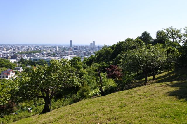 寺口山斜面