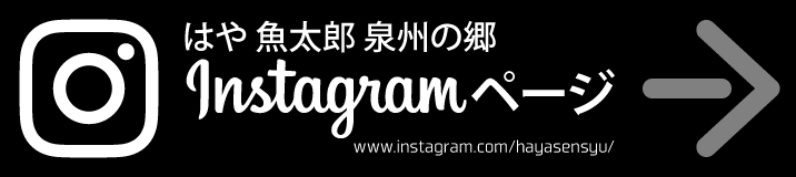 “instagram”