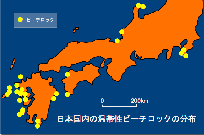 日本国内の温帯性ビーチロックの分布