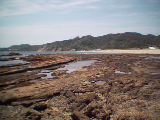 脇岬ビーチロックC (基盤岩上から撮影)