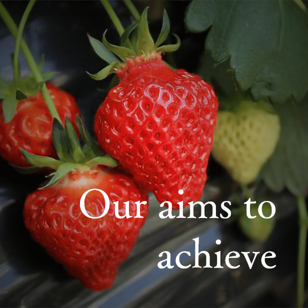 Our aims to achieve
