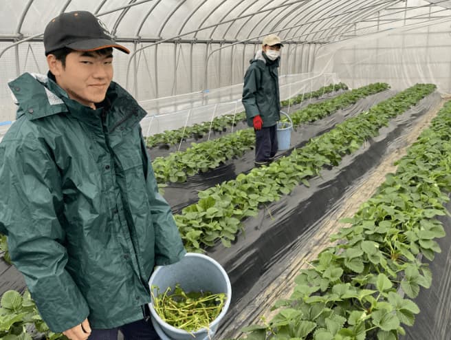 「2021年：新潟農業・バイオ専門学校（アビオ）研修生の受け入れ」の写真